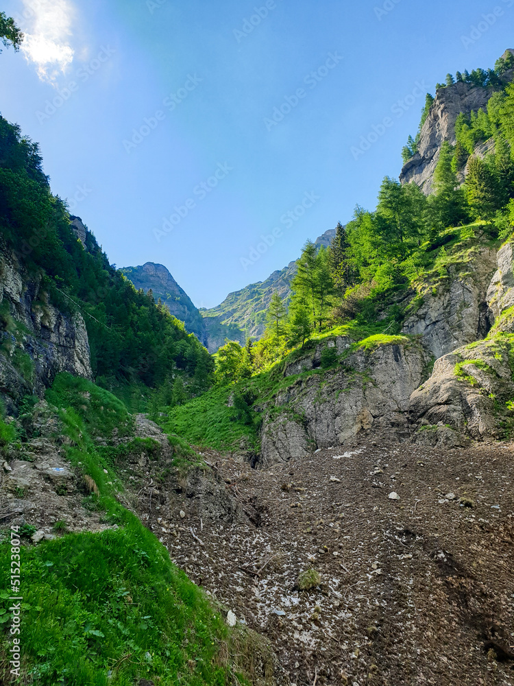 mountain river in the mountains,  Caraiman Valley, Bucegi Mountains, Romania 