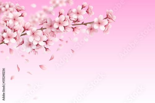 Cherry Blossom Background - 1 © Paradise Art