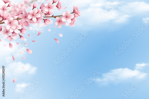 Cherry Blossom Background - 4