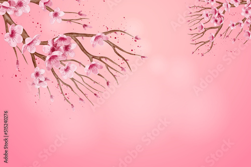 Cherry Blossom Background - 10