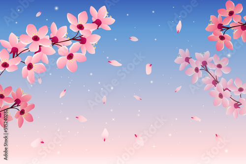 Cherry Blossom Background - 11