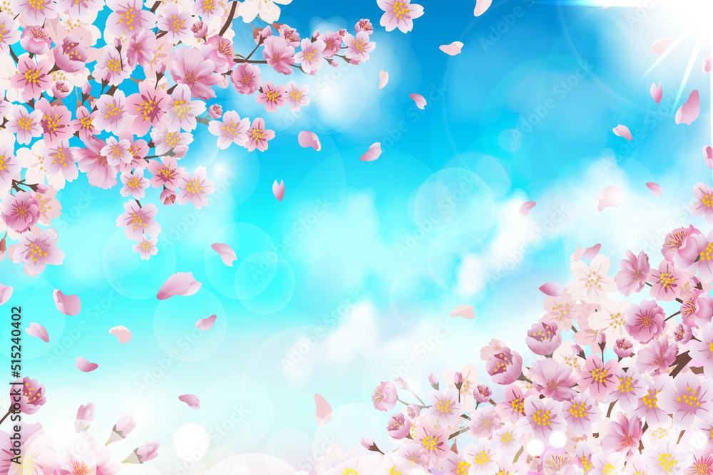 Cherry Blossom Background - 27 Cherry Blossom Background - 27