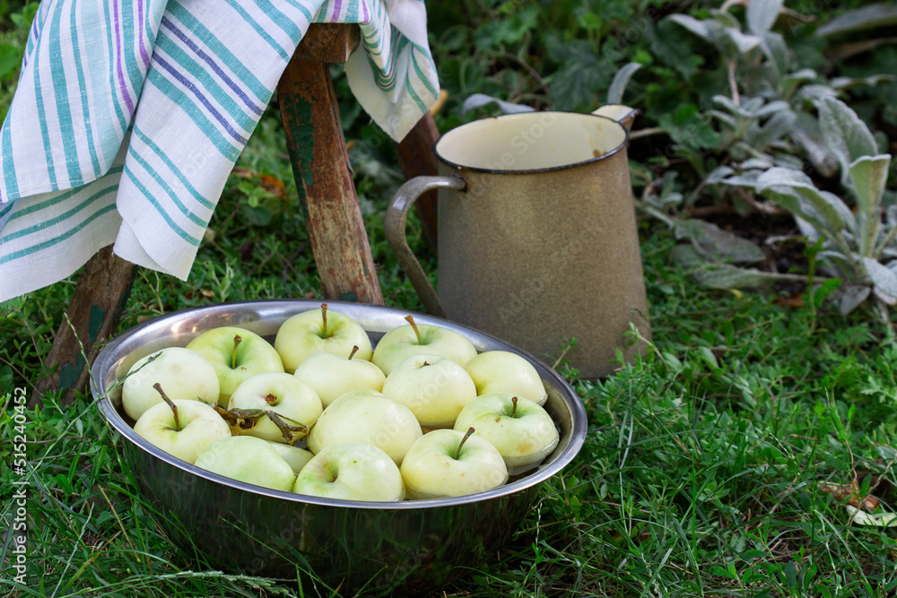 A basin with water and apples on the background of a summer garden.
