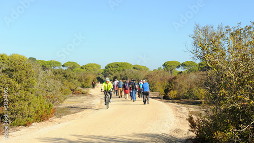 Senderismo y bicicleta en el Parque Natural Bahía de Cádiz. Marisma de los Toruños y Pinar de la Algaida., Andalucía, España.