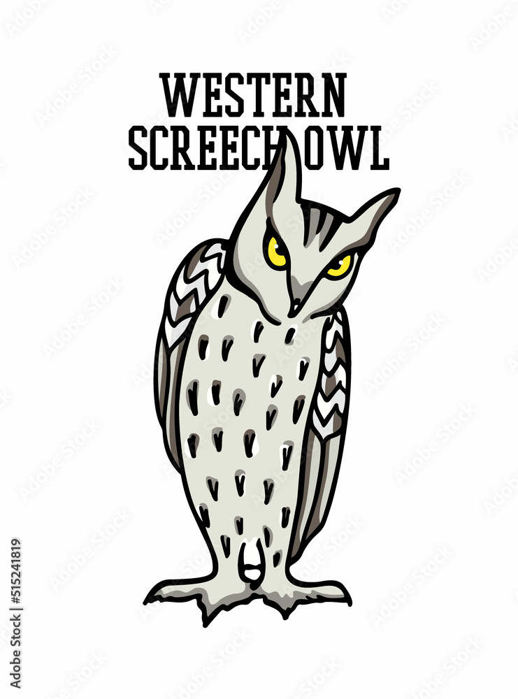 Obraz premium Vector illustration of hand drawn funny mysterious Western Screech-Owl. Ink drawing, decorative graphic style. Beautiful animal design elements, logo template 