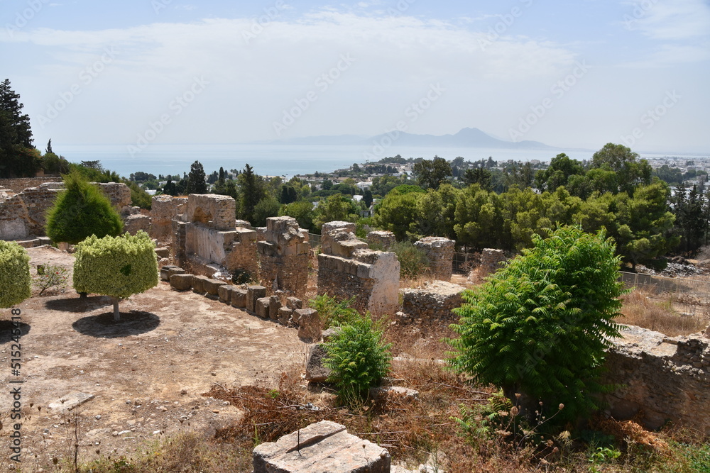 Carthage, Tunis, Tunisia, ruin, historic 