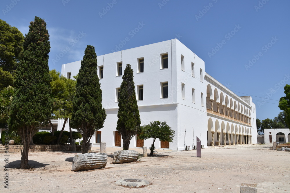 Obraz premium Carthage, Tunis, Tunisia, ruin, historic 