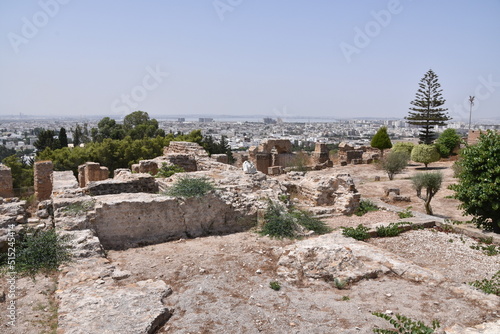 Carthage, Tunis, Tunisia, ruin, historic 