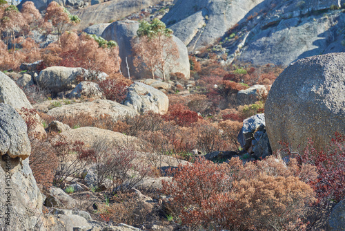 Large rocks on a mountain Lions Head in Cape Town, South Africa. Big stones and dry brown plants outdoors on a hiking trial. Wild landscape or boulders on the ground near a bushy area
