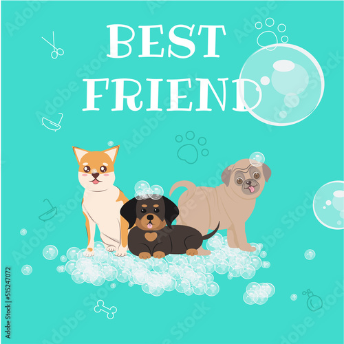 Dog Grooming Salon Poster Illustration . Icon banner illustrations showing animal charity, donation, volunteering, adoption. Pet shop . Veterinary clinic banners set.