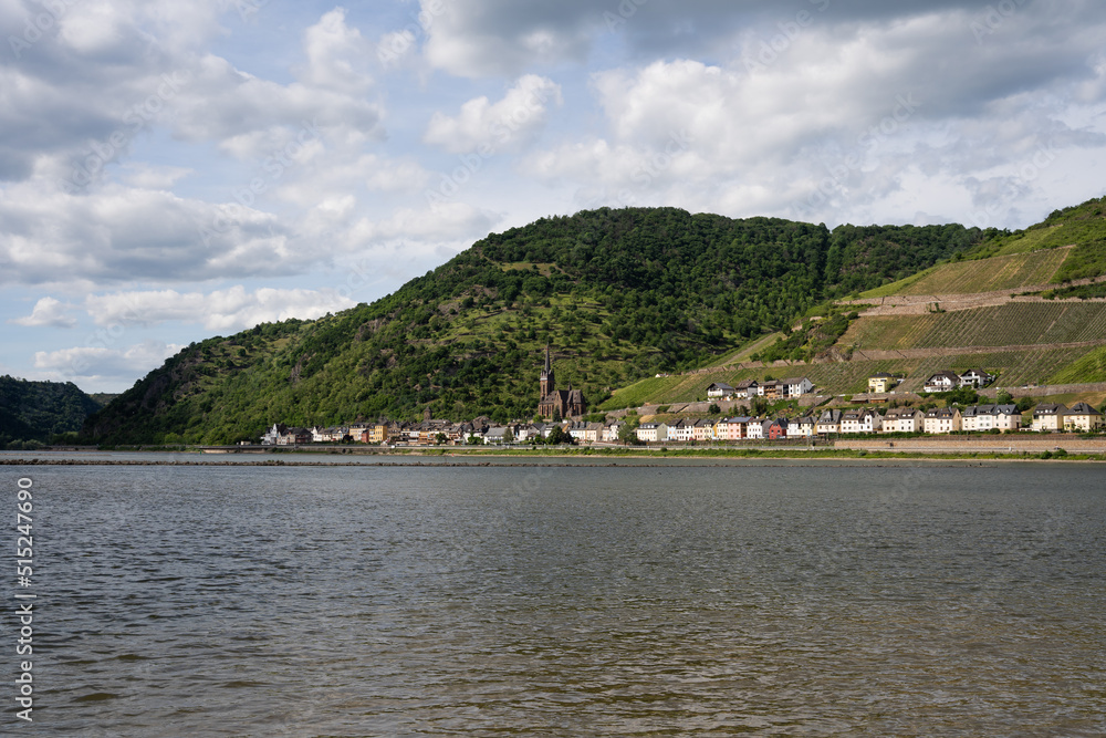 Tiny Village on the Rhine Shore