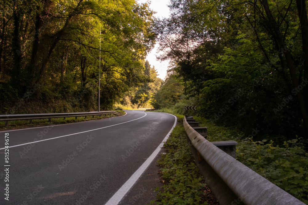 curvy mountain road through the forest. relaxing rural vacation.