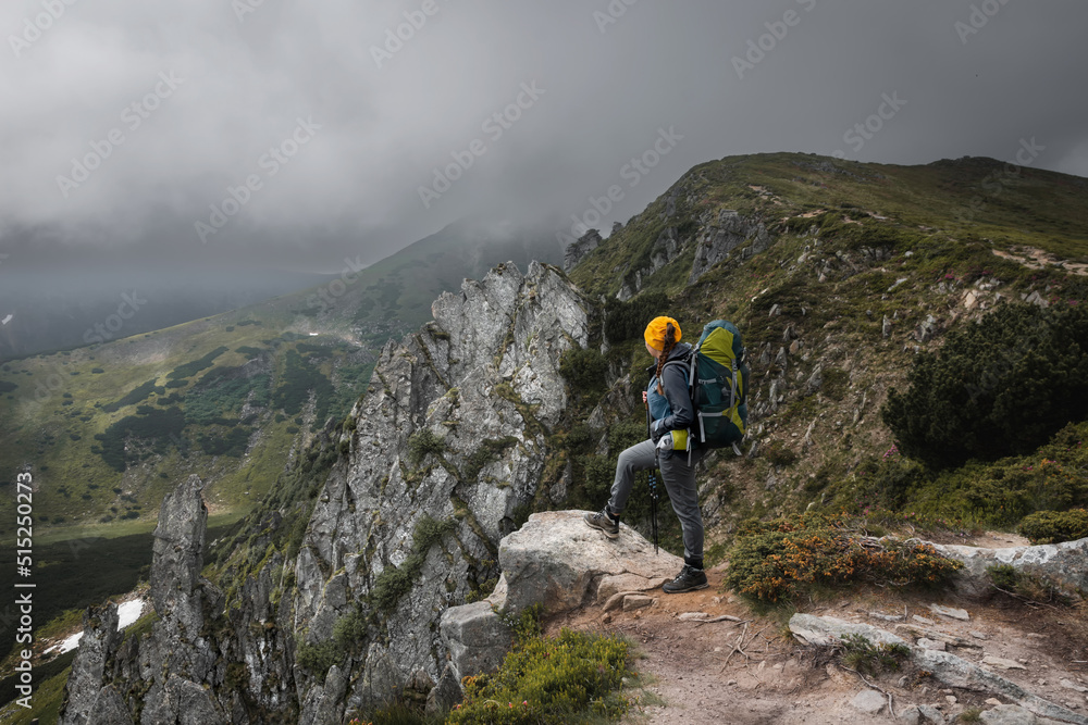 Obraz premium Girl hiker stands on a rock in the mountains. Trekking life. Hike through the Carpathian mountains. Green mountain slopes and blooming rhododendron.