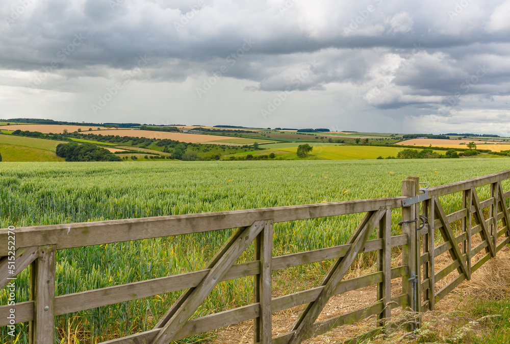 The Yorkshire Wolds in Summer with double farm gates, colourful crops, pastures, forests and cloudy skies.  East Yorkshire, UK.  Horizontal.  Copy space.