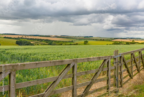 The Yorkshire Wolds in Summer with double farm gates, colourful crops, pastures, forests and cloudy skies. East Yorkshire, UK. Horizontal. Copy space.