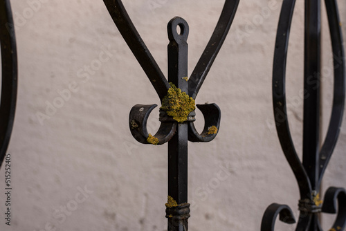 Obraz na płótnie lichen growing on a wrought iron fence w salonie