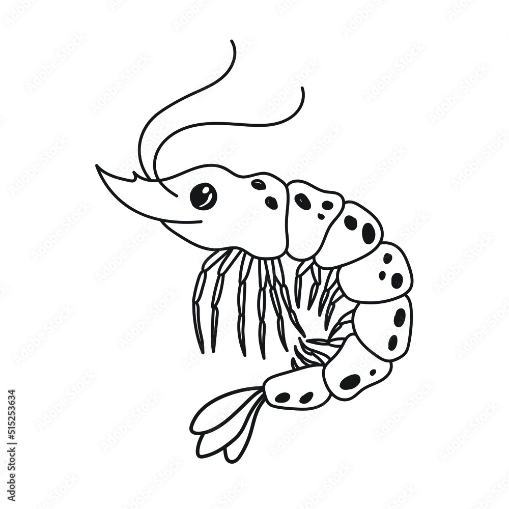 Black shrimp. contour doodle drawing of a marine crustacean. Cute hand-drawn drawing. Stock image linear art Black shrimp. contour doodle drawing of a marine crustacean. Cute hand-drawn drawing. Stock image linear art