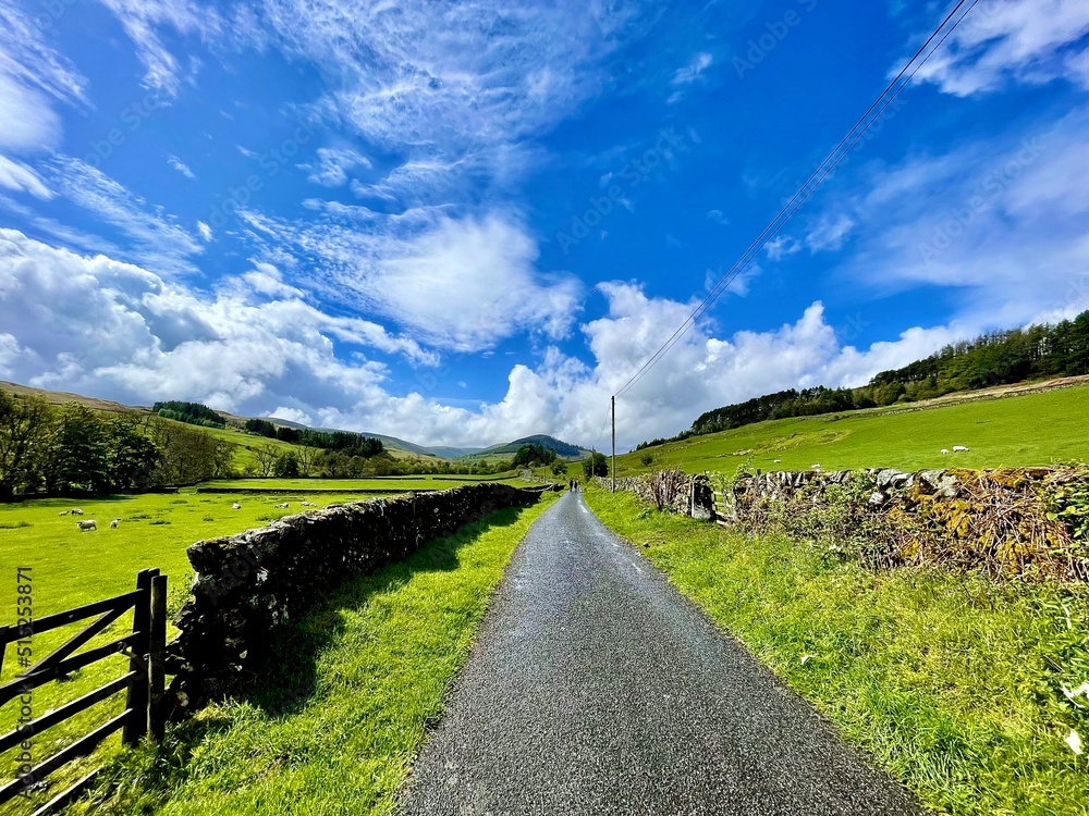 road in the countryside