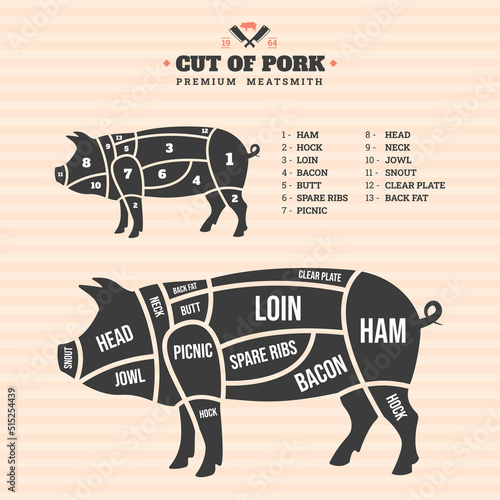 Cut of pork. Vector illustration of pork on a colored background. Pig parts marking