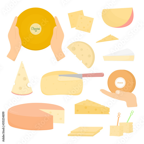 Cheese elements set types of cheese and cuts vector illustration