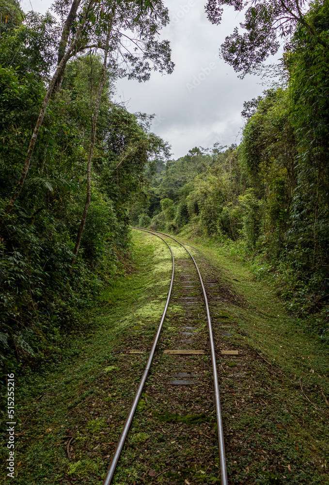 Trilho de trem Trilho de trem