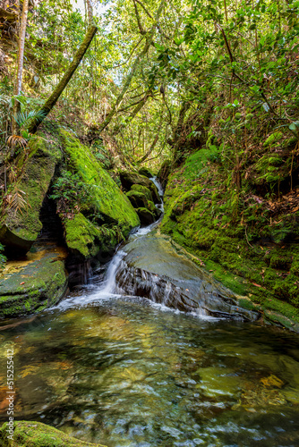 Small stream with water running between the mossy rocks and rain forest vegetation in Carrancas in the state of Minas Gerais  Brazil