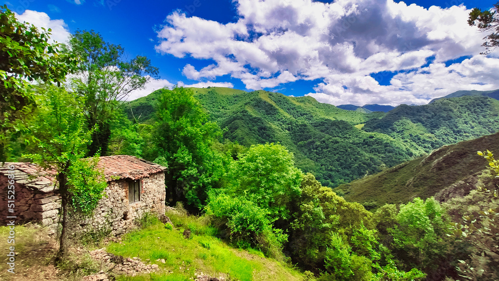 Fototapeta premium Cabin and wood near Almurfe village, Belmonte de Miranda municipality, Asturias, Spain