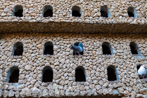 Pigeons in their hiding places in an ancient wall of hercules cave