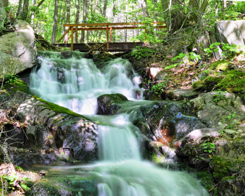 waterfall in the forest