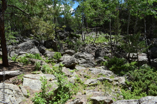 Field full of boulders in Wyoming