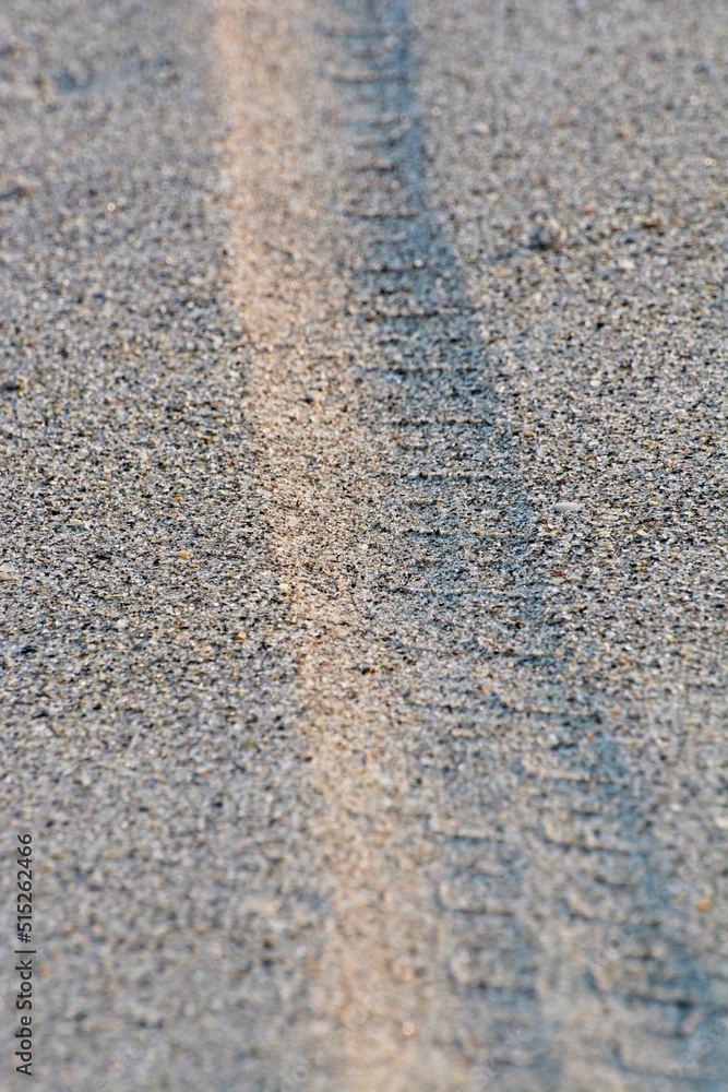 'Bicycle tire tracks along sandy beach in late afternoon sun' 'Bicycle tire tracks along sandy beach in late afternoon sun'