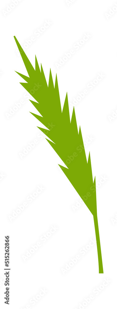 Fototapeta premium Palm Tree leaf. Vector illustration
