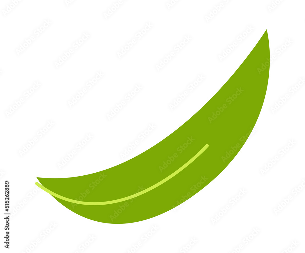 Palm Tree leaf. Vector illustration Palm Tree leaf. Vector illustration