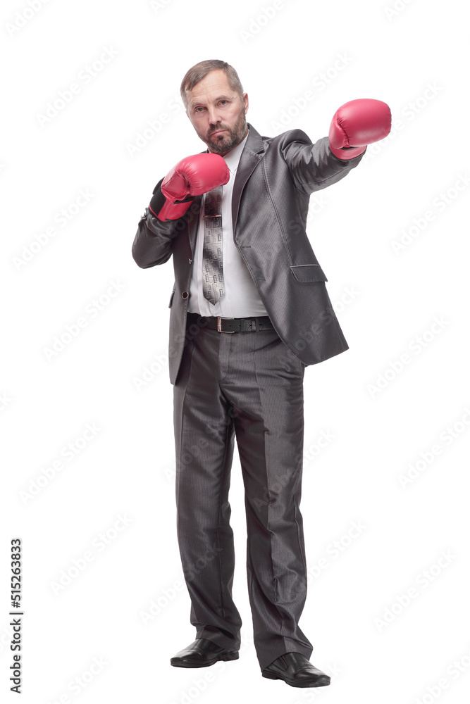 business man in Boxing gloves. isolated on a white background. business man in Boxing gloves. isolated on a white background.