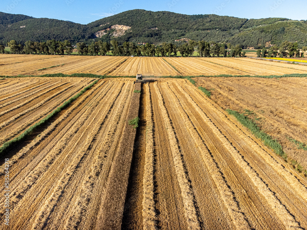 vista aerea della campagna Toscana nella zona di Pisa vista aerea della campagna Toscana nella zona di Pisa