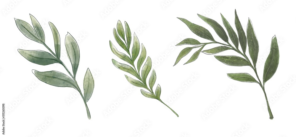 Set greenery brances isolated on white background. Watercolor hand painted illustration