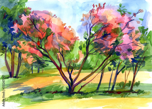 Blooming pink tree. Landscape With Trees. Drawing with watercolor