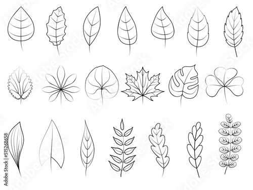 Leaves icons set. Line black vector botanical elements. Beautiful isolated greens leaf. Organic object for frame, border, ornament divider. Great for greeting card. Silhouet eco collection.