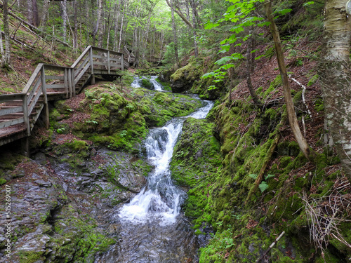 Dickson Falls in Fundy National Park