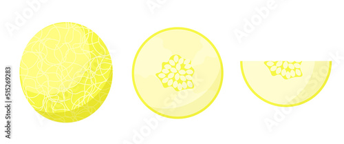Yellow melon on whine background. Isolated illustration of fruits. Health and delicious food.