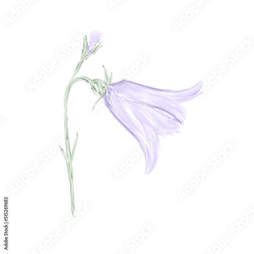 Графика и иллюстрации