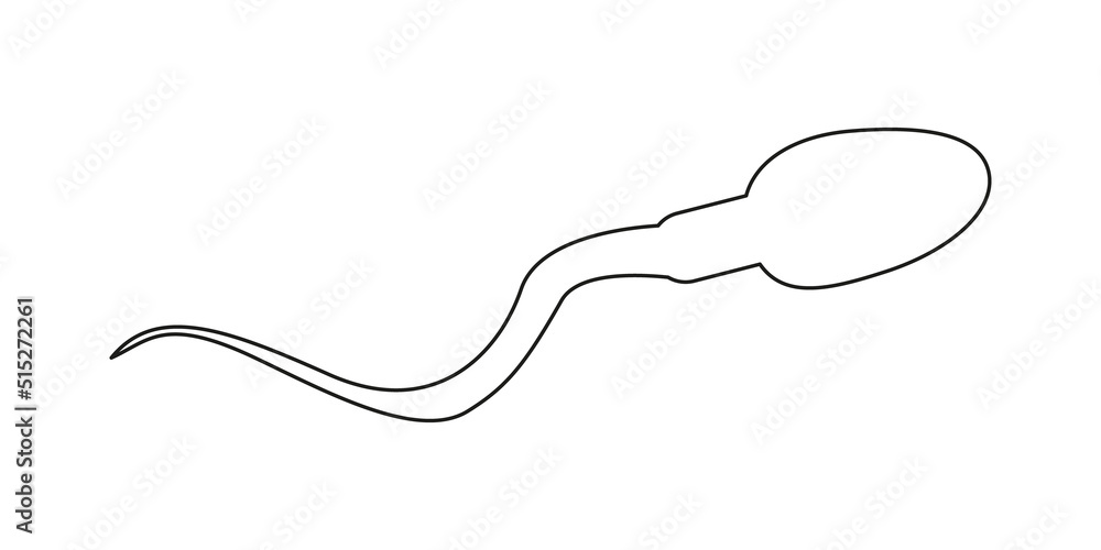 Spermatozoa icon. Human sperm cell in outline style. Male fertility, semen test, spermatozoon analysis concept. Vector graphic illustration. Spermatozoa icon. Human sperm cell in outline style. Male fertility, semen test, spermatozoon analysis concept. Vector graphic illustration.