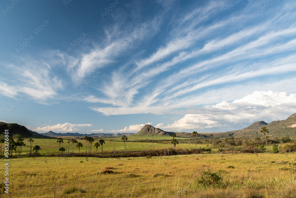 Beautiful view to typical cerrado landscsape with mountains