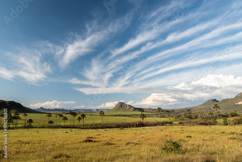 Beautiful view to typical cerrado landscsape with mountains photo