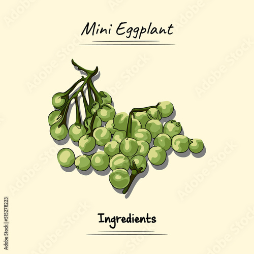Mini Eggplant Illustration Sketch And Vector Style. Good to use for restaurant menu, Recipe book and food ingredients concept.