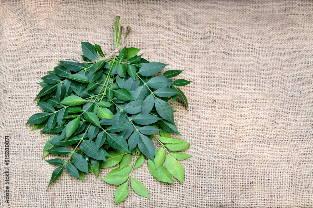 Neem leaves on jute fabric background with emtry space. Neem's
