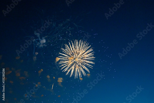 Obraz na płótnie Firework over the blue sky at night, white, orange. Amateur photo. Noise. Grain. w salonie