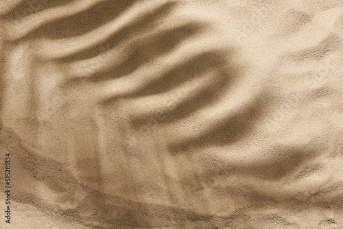 Fototapeta Naklejka Na Ścianę i Meble -  Tropical design on the concept of summer, beach and vacations: the shadow of a palm leaf is cast on a smooth sand background. Creative minimal layout, top view composition with copy space.