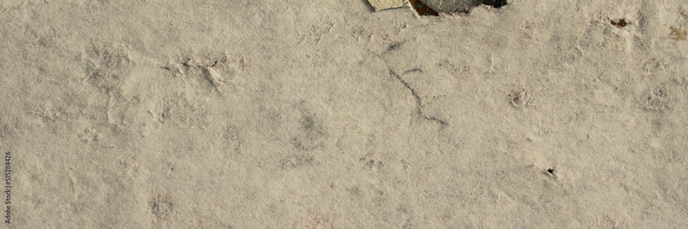 Peeling paint on the wall. Panorama of a concrete wall with old cracked flaking paint. Weathered rough painted surface with patterns of cracks and peeling. Wide panoramic texture for grunge background Peeling paint on the wall. Panorama of a concrete wall with old cracked flaking paint. Weathered rough painted surface with patterns of cracks and peeling. Wide panoramic texture for grunge background