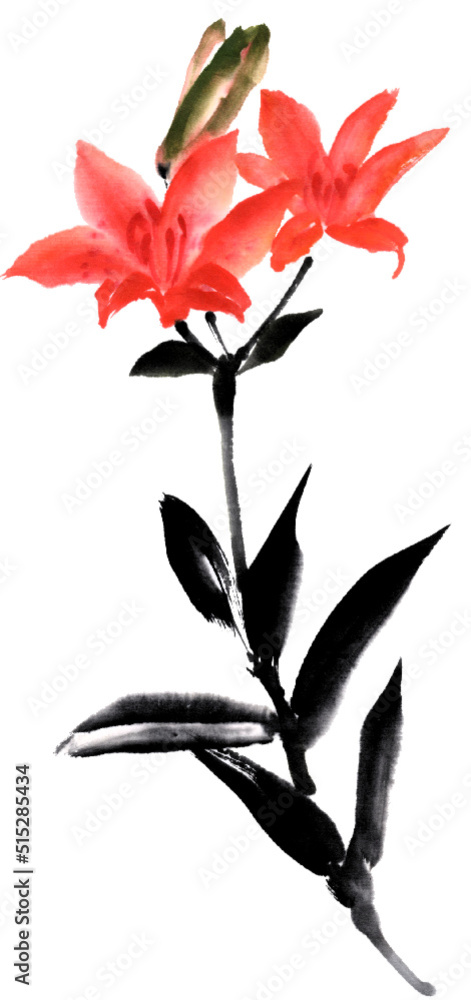 ヒメユリ の画像 50 件の Stock 写真 ベクターおよびビデオ Adobe Stock